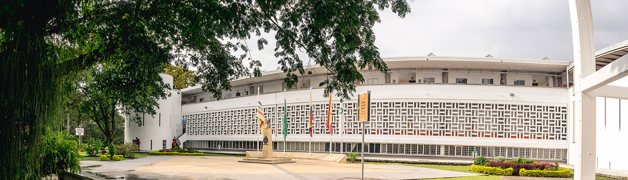 Contenido por defecto